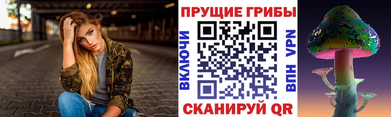 Псилоцибиновые грибы Psilocybine cubensis  Купить закладки  Кирс 